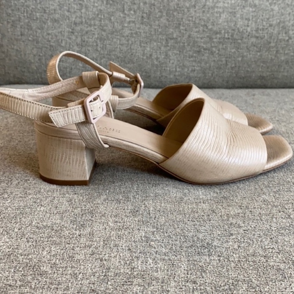Everlane Block Heel Sandals